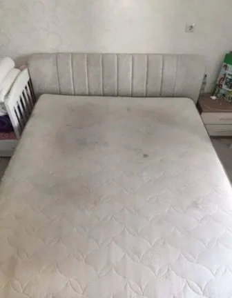 IMG 20200823 101431 scaled 1